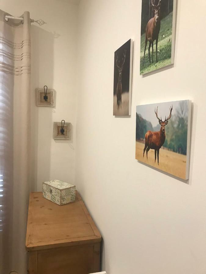 Apartament Neret II Сорт Екстериор снимка